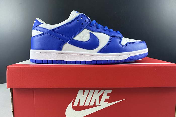 NIKE SB DUNK LOW CU1726-100