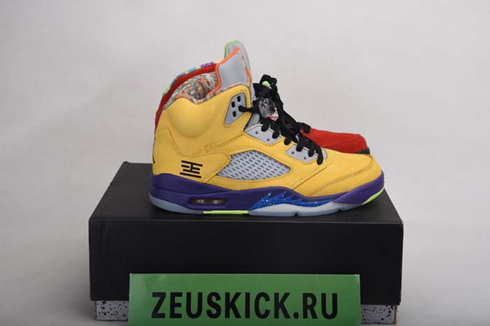 Air Jordan 5 “What The