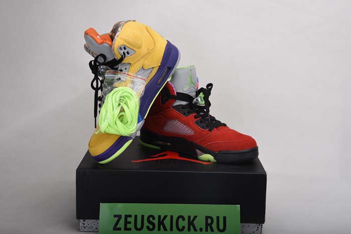 Air Jordan 5 “What The