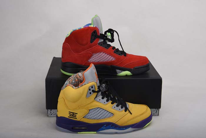 Air Jordan 5 “What The