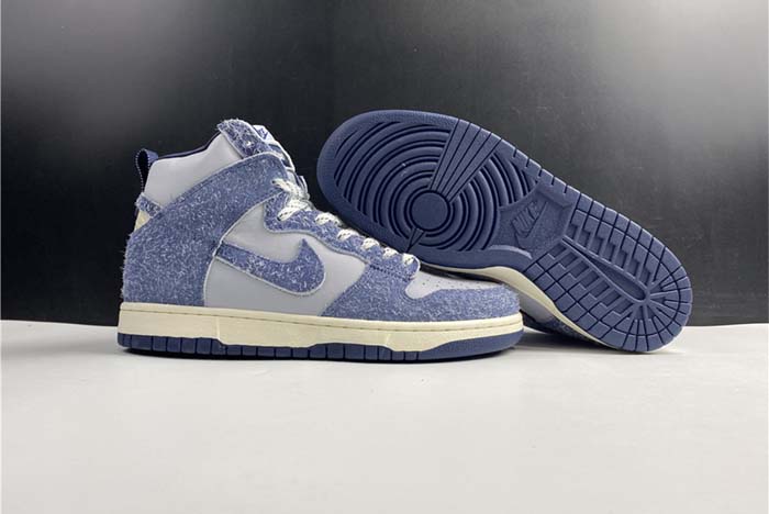 Nike SB Dunk high pro CW3092-400