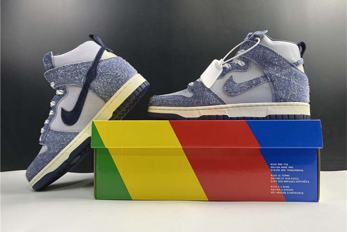 Nike SB Dunk high pro CW3092-400