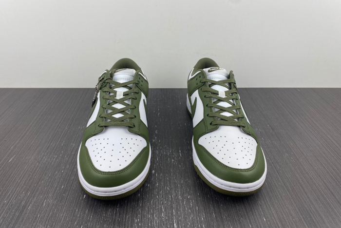 Nike Dunk Low Medium Olive DD1503-120