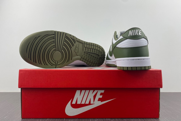 Nike Dunk Low Medium Olive DD1503-120