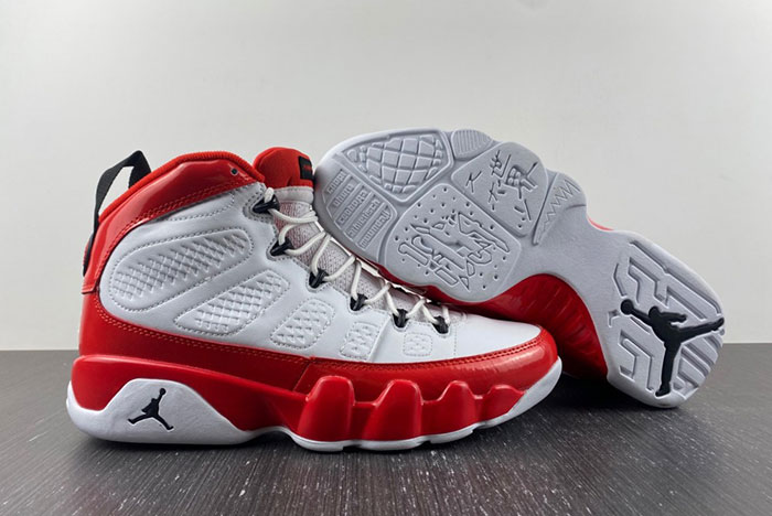 Air Jordan 9 302370-160