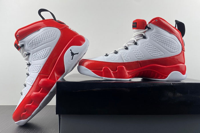 Air Jordan 9 302370-160