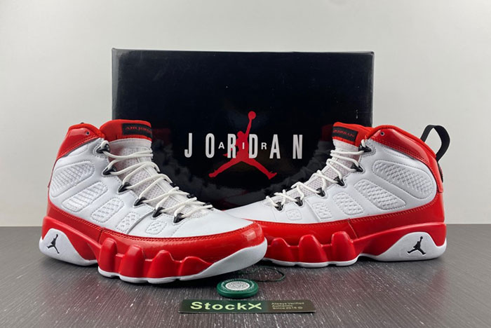 Air Jordan 9 302370-160