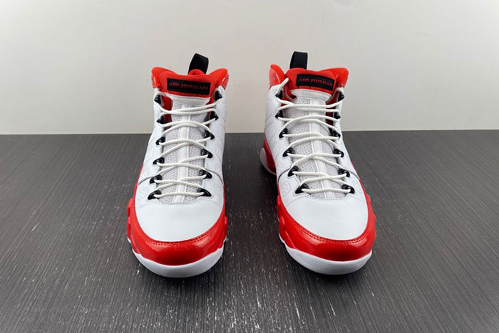 Air Jordan 9 302370-160