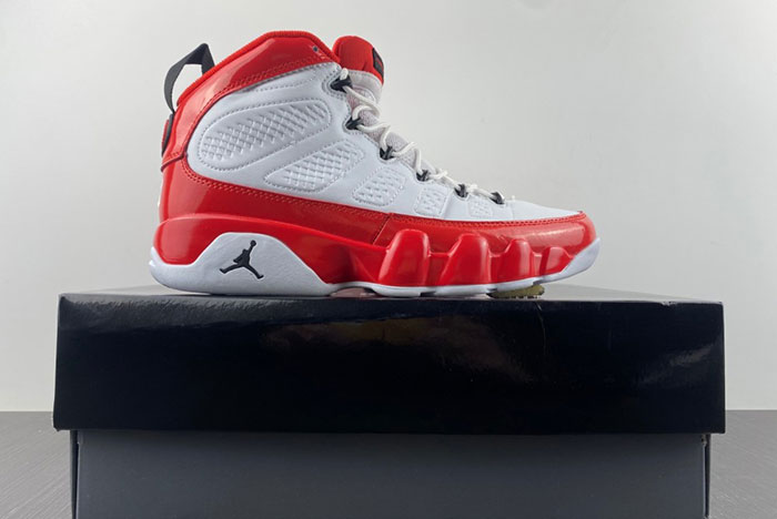 Air Jordan 9 302370-160