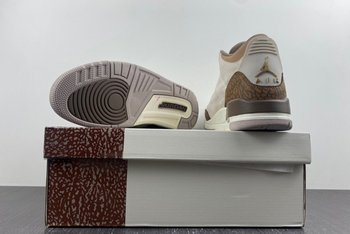 Air Jordan 3 Palomino CT8532-102