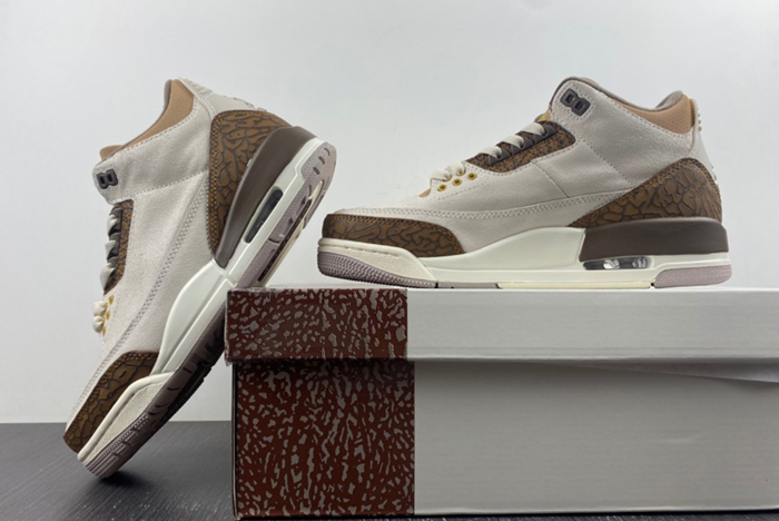 Air Jordan 3 Palomino CT8532-102