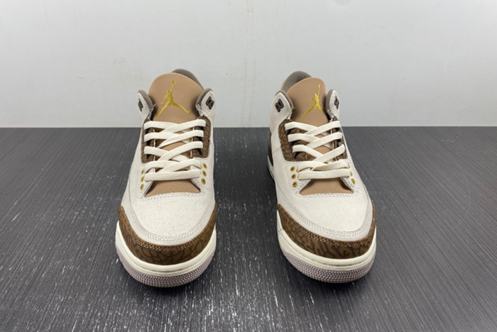 Air Jordan 3 Palomino CT8532-102