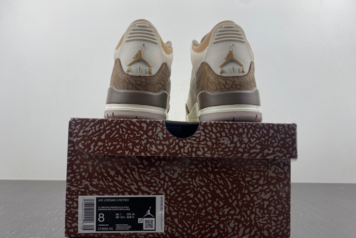 Air Jordan 3 Palomino CT8532-102