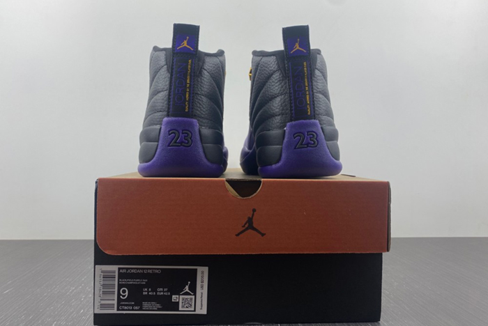 Air Jordan 12 Field Purple CT8013-057