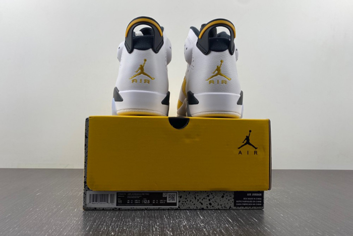 Air Jordan 6 Yellow Ochre CT8529-170