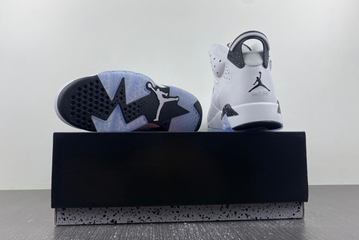 Air Jordan 6 Reverse Oreo CT8529-112