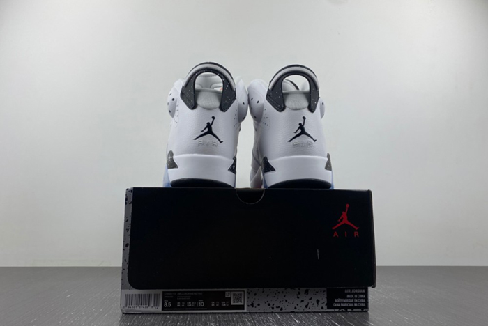 Air Jordan 6 Reverse Oreo CT8529-112