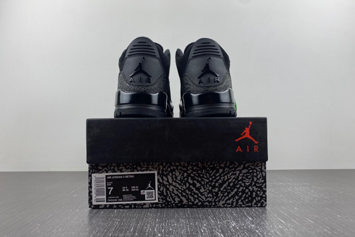 Jordan 3 CK9246-168