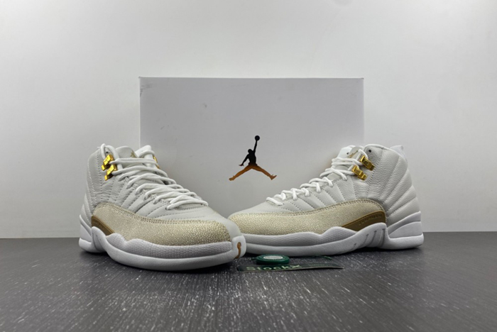 OVO x Air Jordan 12  873864-102