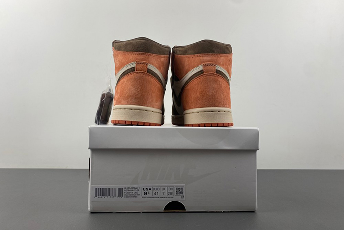 Air Jordan 1 High OG WMNS Dusted Clay FQ2941-200