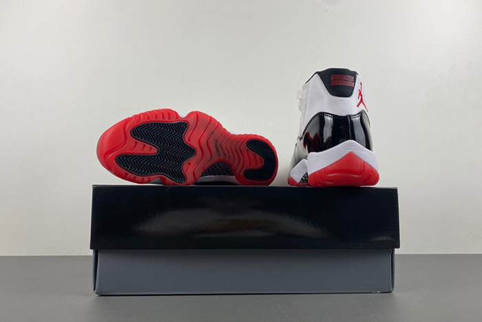 Jordan 11 Concord Bred CT8012-106