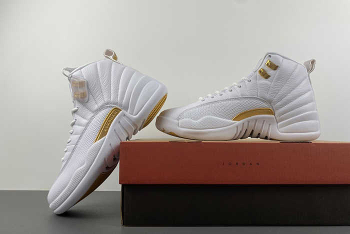 Air Jordan 12 Phantom FD9101-007