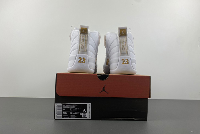 Air Jordan 12 Phantom FD9101-007