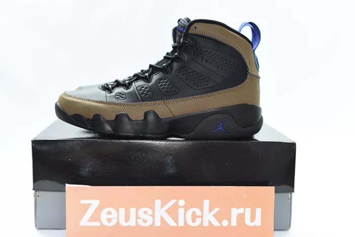 Air Jordan 9 Olive Concord CT8019-034