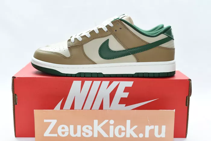 Nike Dunk Low Retro FB7160-231