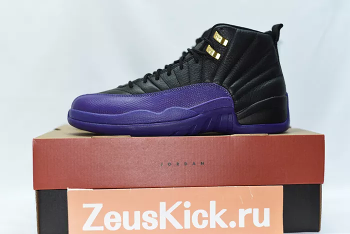 Air Jordan 12 Field Purple CT8013-057