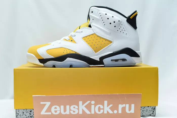 Air Jordan 6 Yellow Ochre CT8529-170