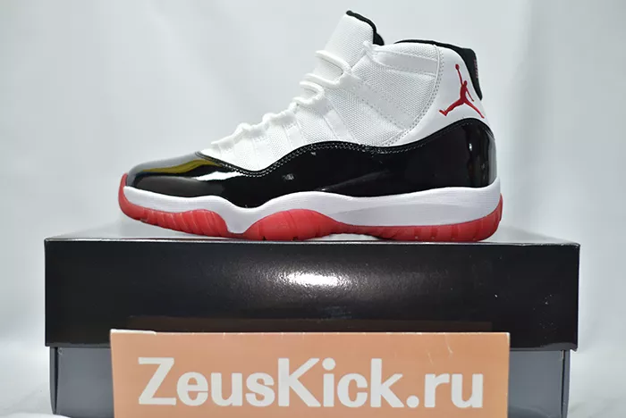 Jordan 11 Concord Bred CT8012-106